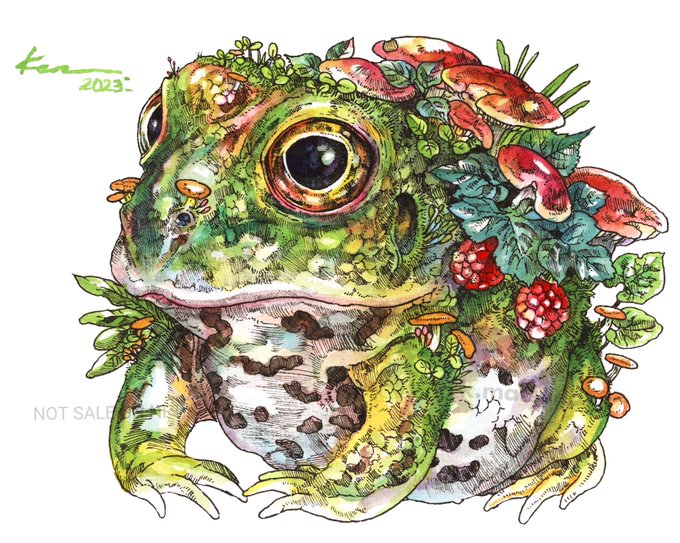 「カエル」 illustration images(Latest))