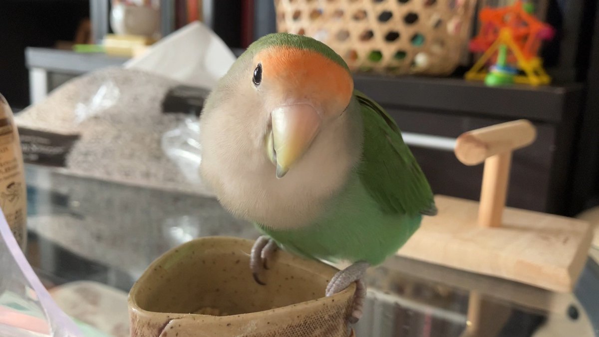 こ、こやつ、分かっている💦
自分が1番盛れる角度を😱