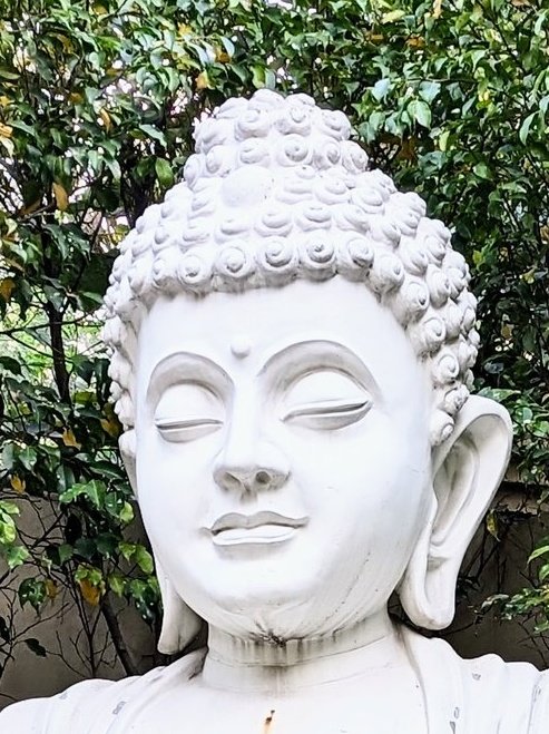 rahul_gupta's tweet photo. Today.
God: :) https://t.co/RbtPwTk872