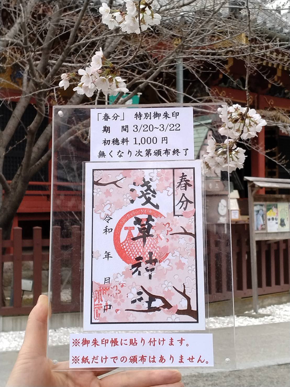 浅草神社 on X: 