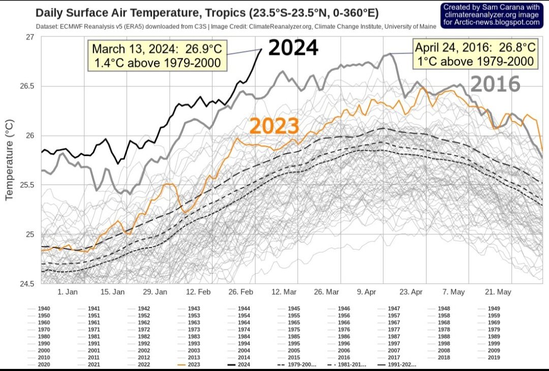Globally surface temperature in tropics (averaged from 23.5N-23.5S) hit a new high of 26.9C on 13 March which is 1.4c above normal and is significantly higher than 2023 (orange line). Source: ERA5