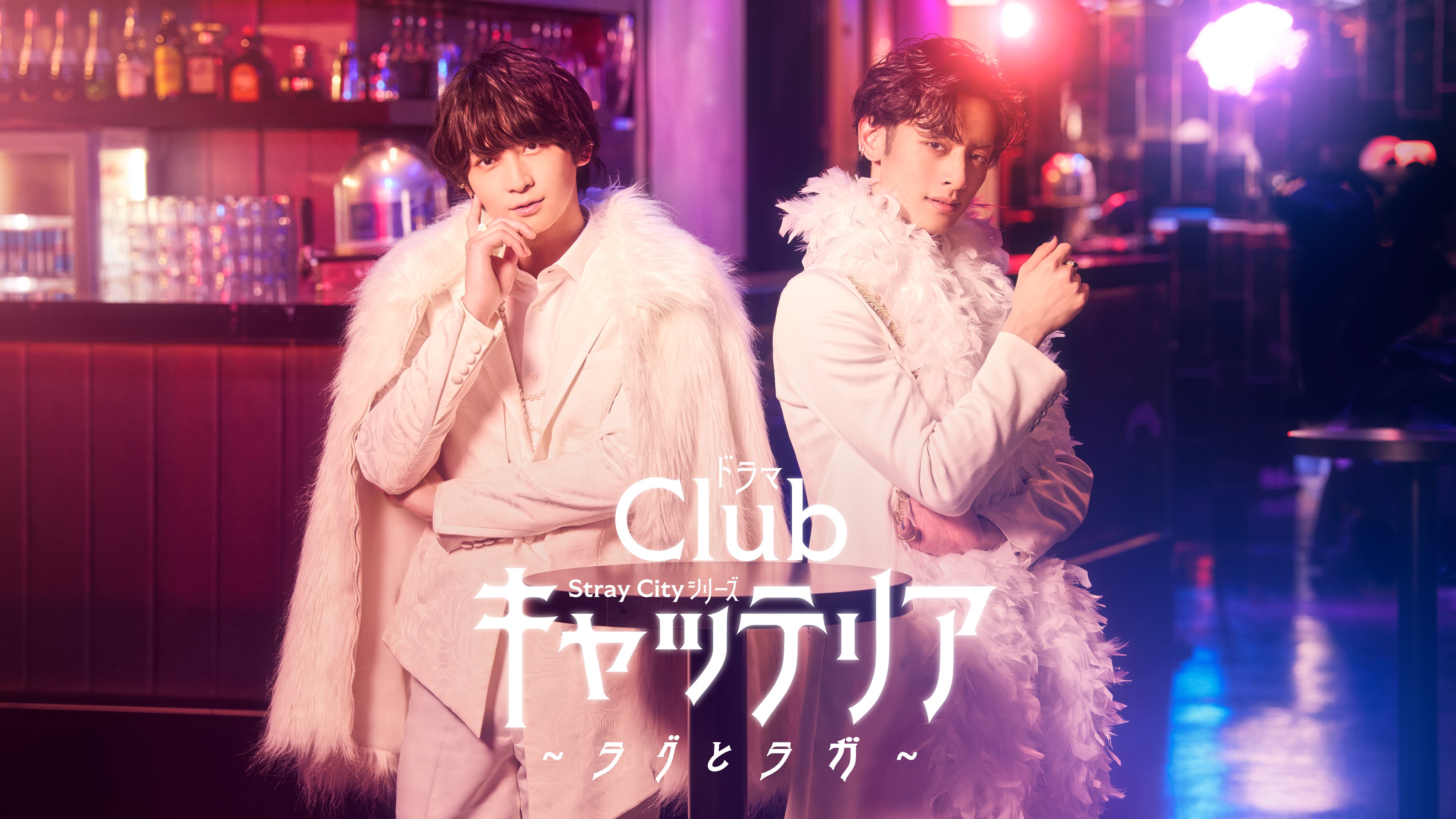 Clubドーシャ キャッテリア 名刺 ラグドール すっごい 荒牧慶彦