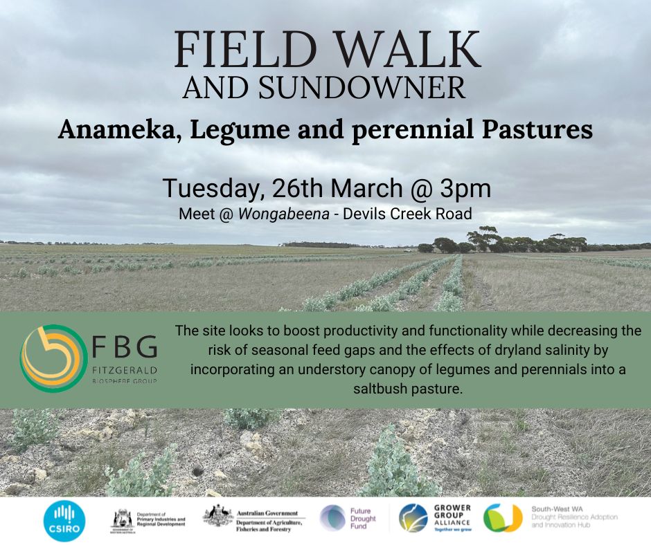 FBG (@fbg_jerramungup) on Twitter photo Interested in the use of low-production and salinity-prone land for productive livestock systems? <a href="/HayleyCNorman/">Hayley Norman</a> is joining us in Gairdner to talk all things saltland systems with a focus on drought resilience and the use of legumes.
fbg.org.au/field-walk-ana… Interested in the use of low-production and salinity-prone land for productive livestock systems? <a href="/HayleyCNorman/">Hayley Norman</a> is joining us in Gairdner to talk all things saltland systems with a focus on drought resilience and the use of legumes.
fbg.org.au/field-walk-ana…
