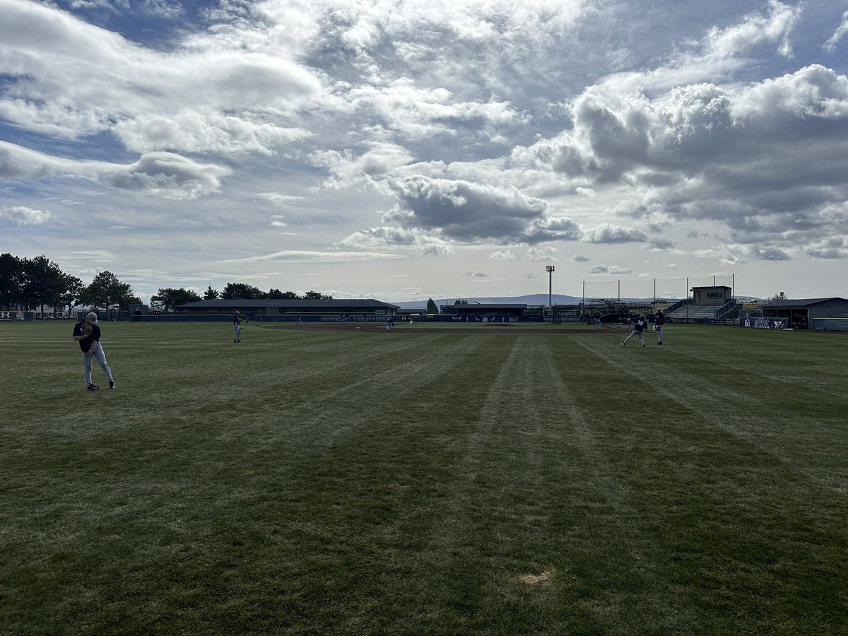 Mike Callia tweet media