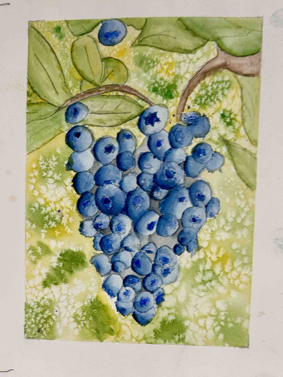 Grade 7/8 Art Option students have been busy creating clusters of blueberries in their watercolor study. Well done!#EICS