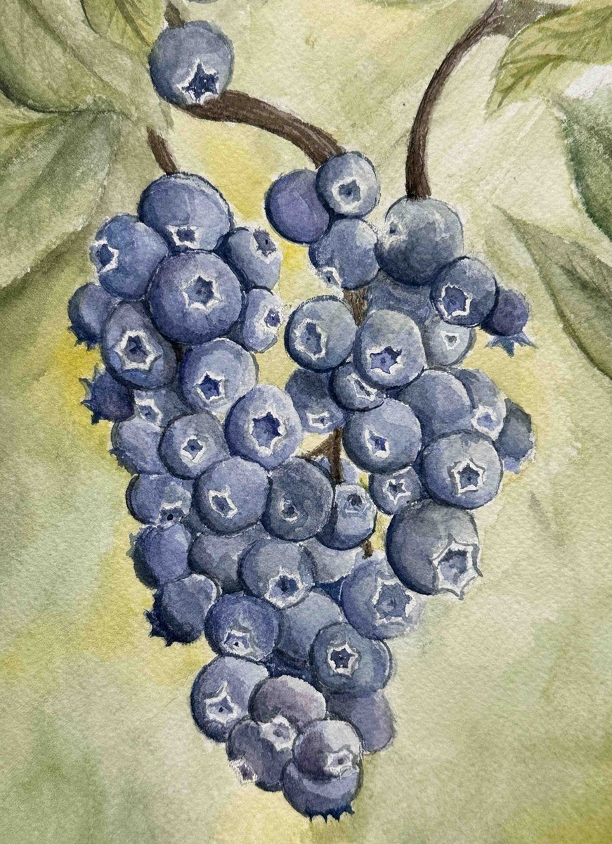 École O.L.P.H. tweet media