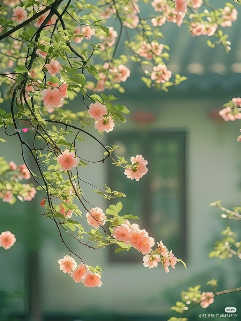 Have a great Friday 💚🧡
Pinterest 📷