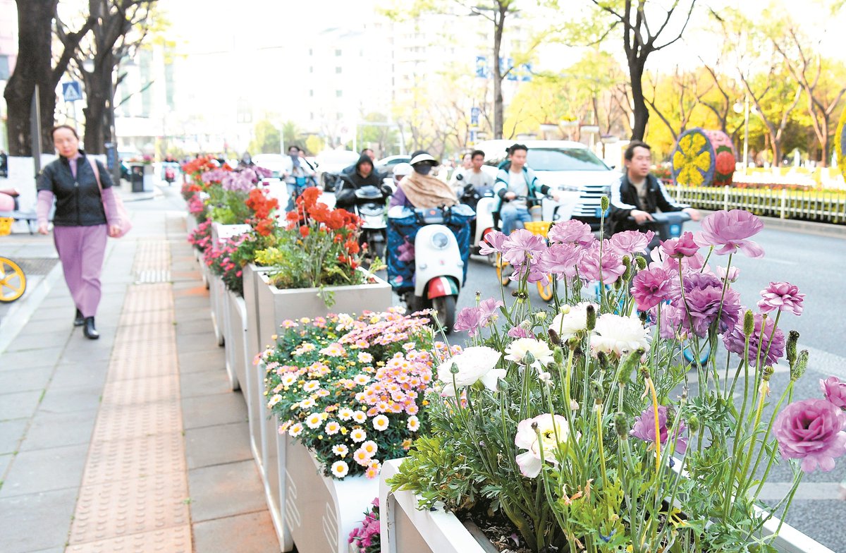 KunmingArea's tweet photo. In spring, Kunming isn't just a city with flowers; it's a city made of flowers. From the lush green belts to every street corner, the blooms are a vivid declaration of the season's joy. 🌷🏙️ #KunmingSpring #UrbanBlossoms #ColorfulCity https://t.co/GVUFJREpdu