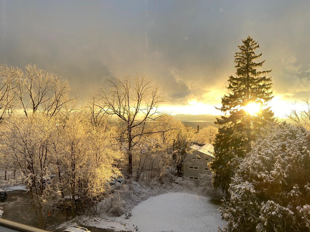 Localbananah tweet media