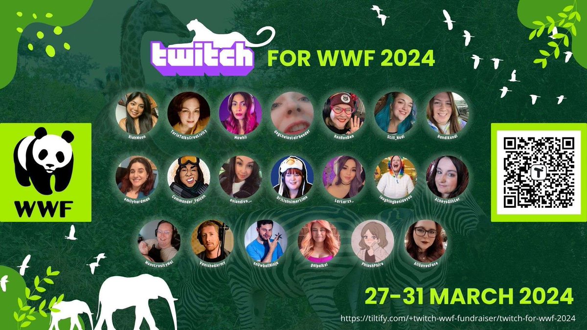 Commander_Falcon tweet media