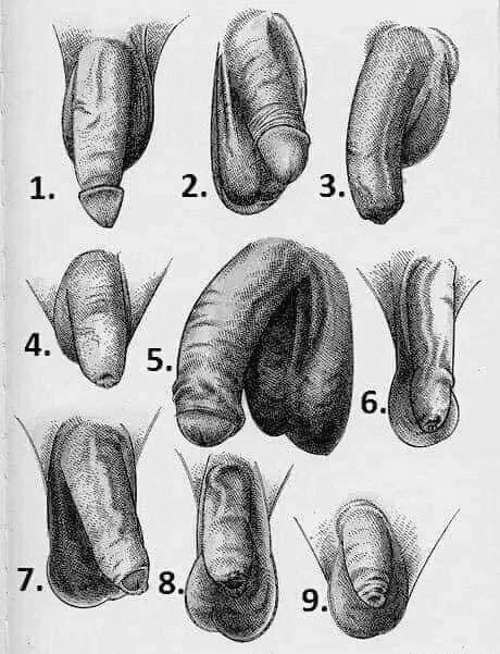 Princess Valery tweet media