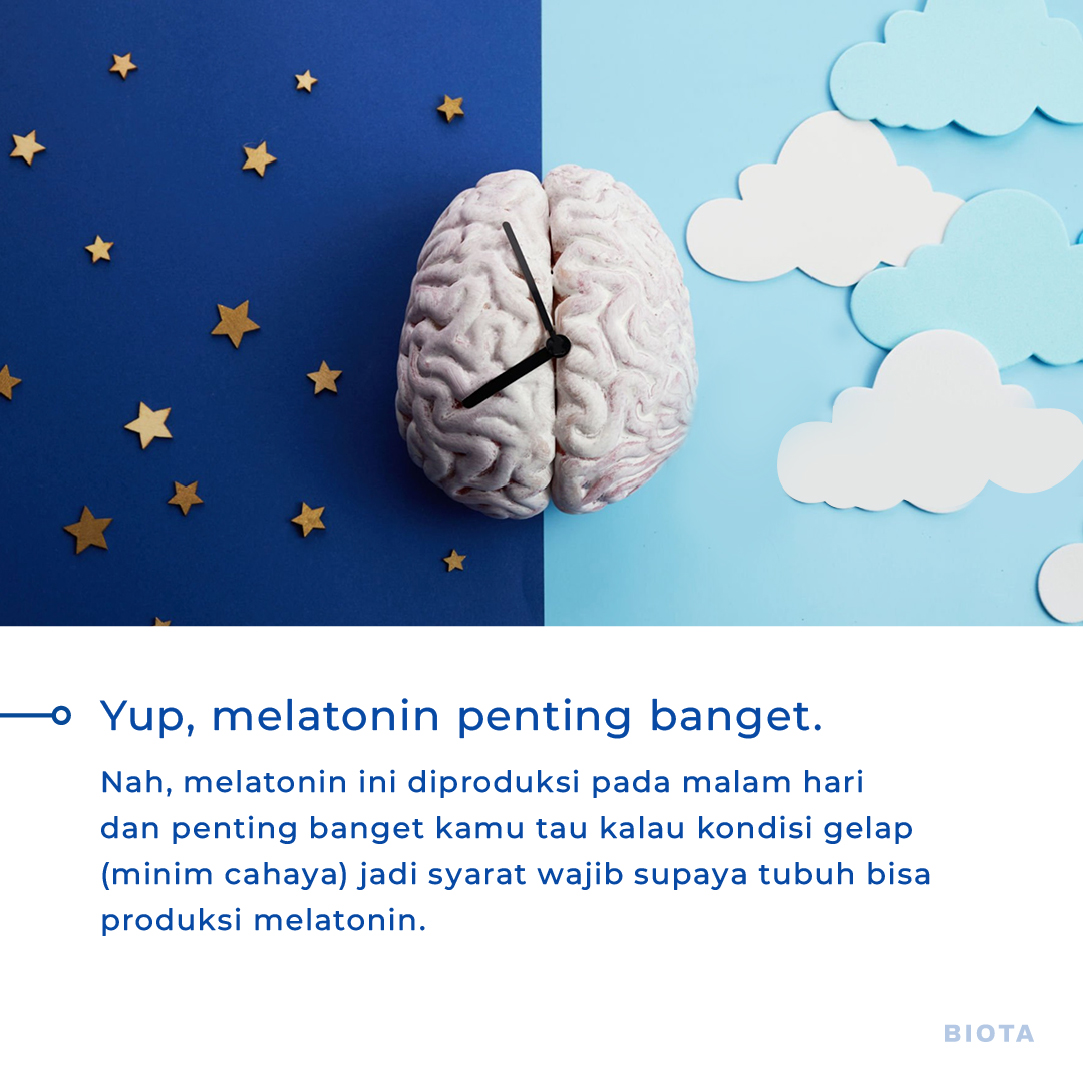 biotasmarthome's tweet image. Tapiiiii,,, coba deh mulai biasakan setidaknya kamu tidur dalam kondisi cahaya yang minim. 

#LifeEnhanced #Biota #RumahNyaman #RumahAman #NyamanDenganBiota