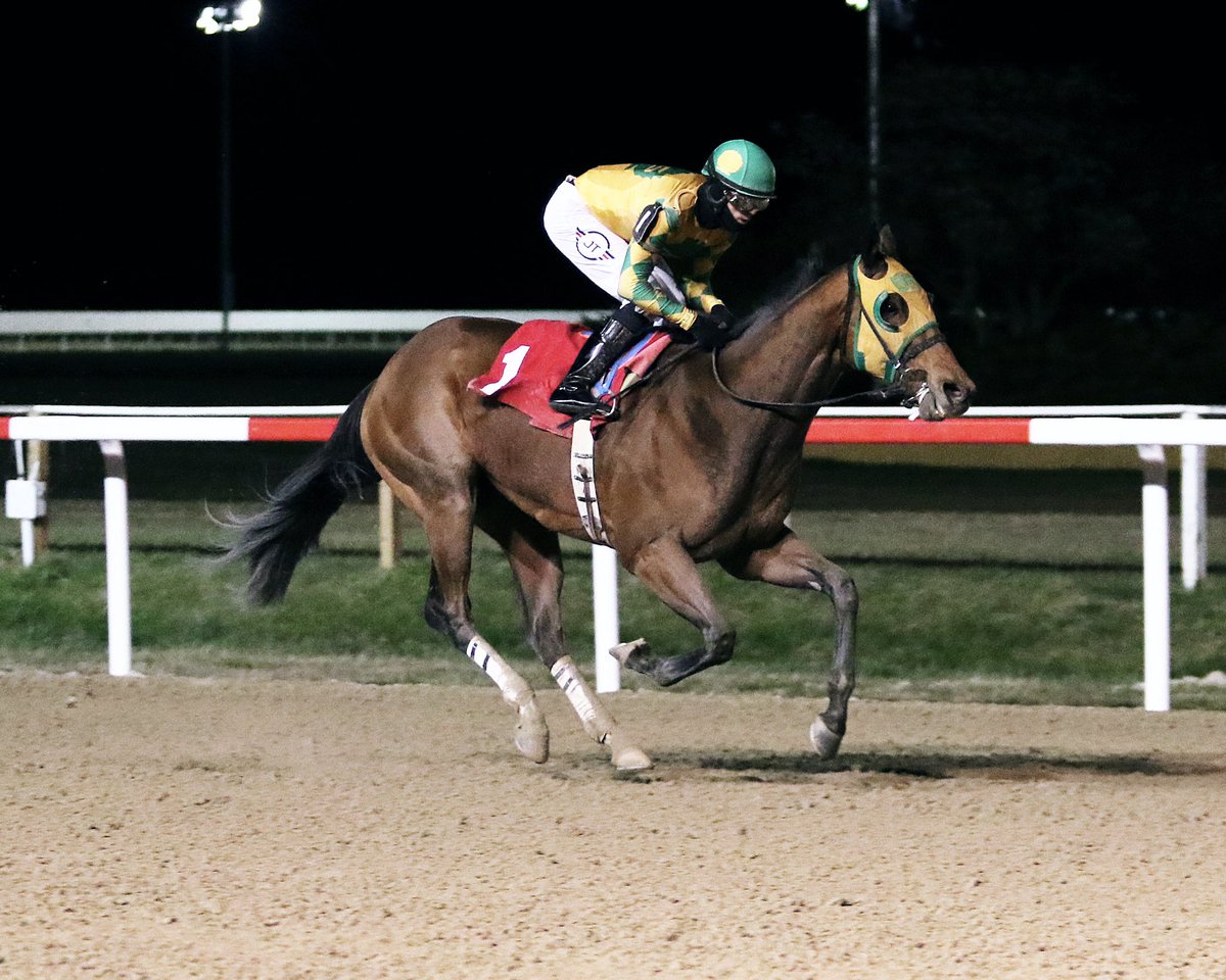 Keeping it Country, keeps it rolling tonight @HollywoodPenn under Jomar Torres, geared down late to WIN by many! @PA_HBPA @PA_PHBA @PennHorseRacing