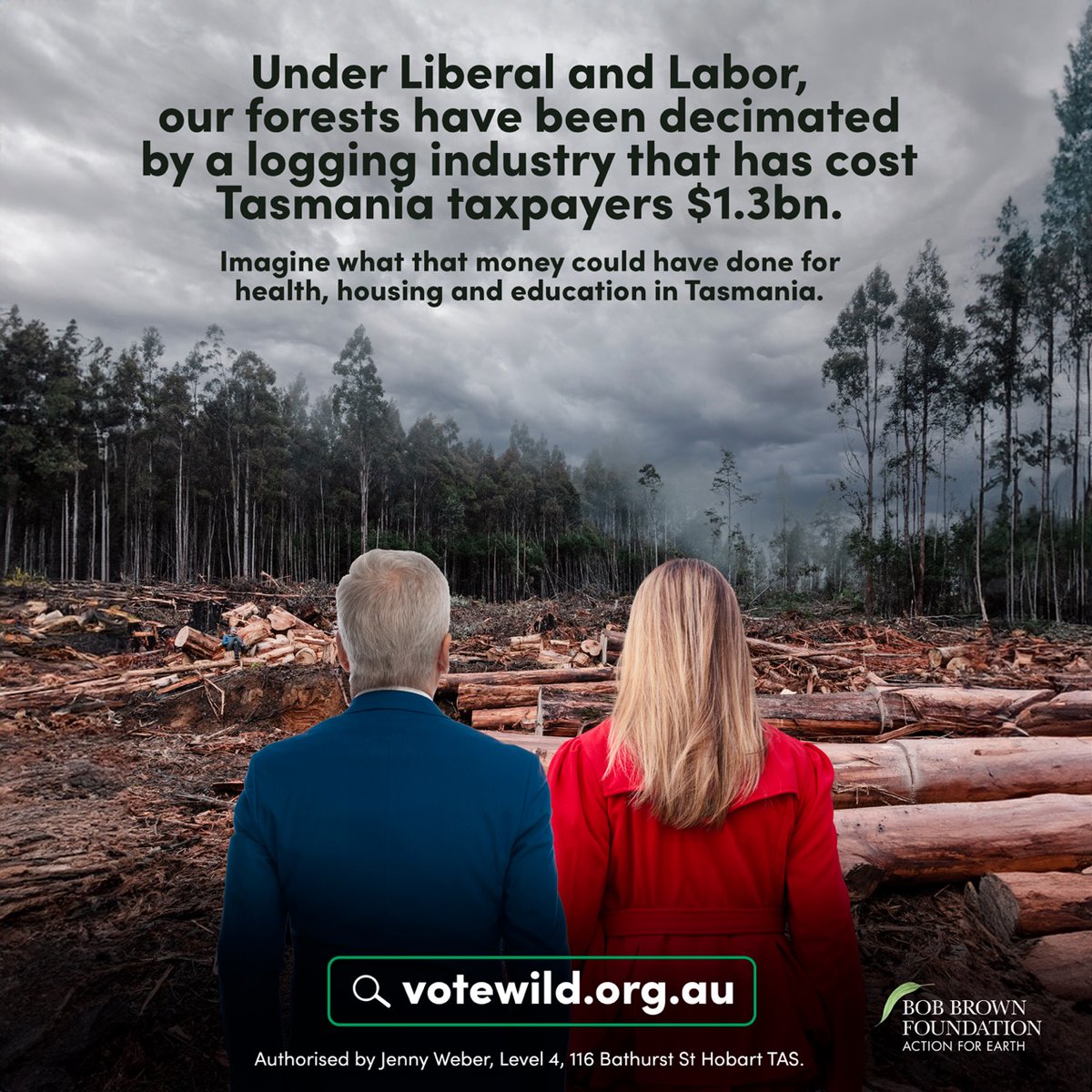 Native forest logging in Tasmania is propped up by massive government subsidies which means 𝙮𝙤𝙪 are paying for this destruction. Instead, these much-needed funds should be spent on health, housing and education. #EndNativeForestLogging votewild.org.au #Politas