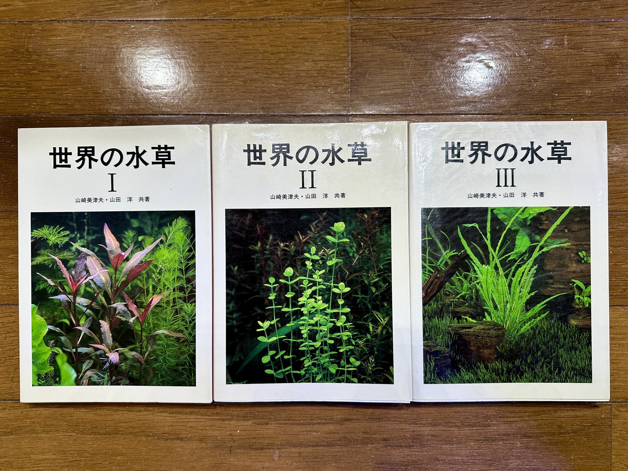 アクアプランツ21号の珍草自慢 - Search / X