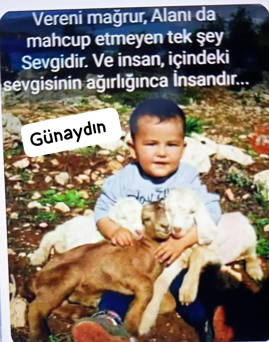 Günaydın ve hayırlı Cumalar sevginin gücüne inanan insanlar. 💎🙏😀☕🌿💝🕊️🌲💛🌄🏞️🌅🌹🤲🙋💙🫂🔑💞🪂🇹🇷❤️🦁🍁
#EskiUzmanÇavuşlar
#2000LerinOyuKime
#StajÇıraklıkSskBaşlangıcıOlsun
#deprem
Ersan Şen Binnur Kaya Afrikalı Deniz Zeyrek