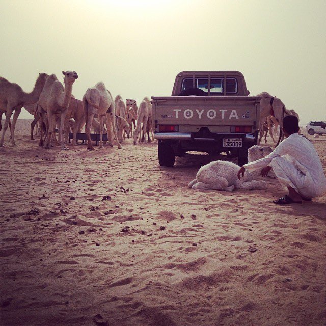 عبدالله عواض النفيعي tweet media