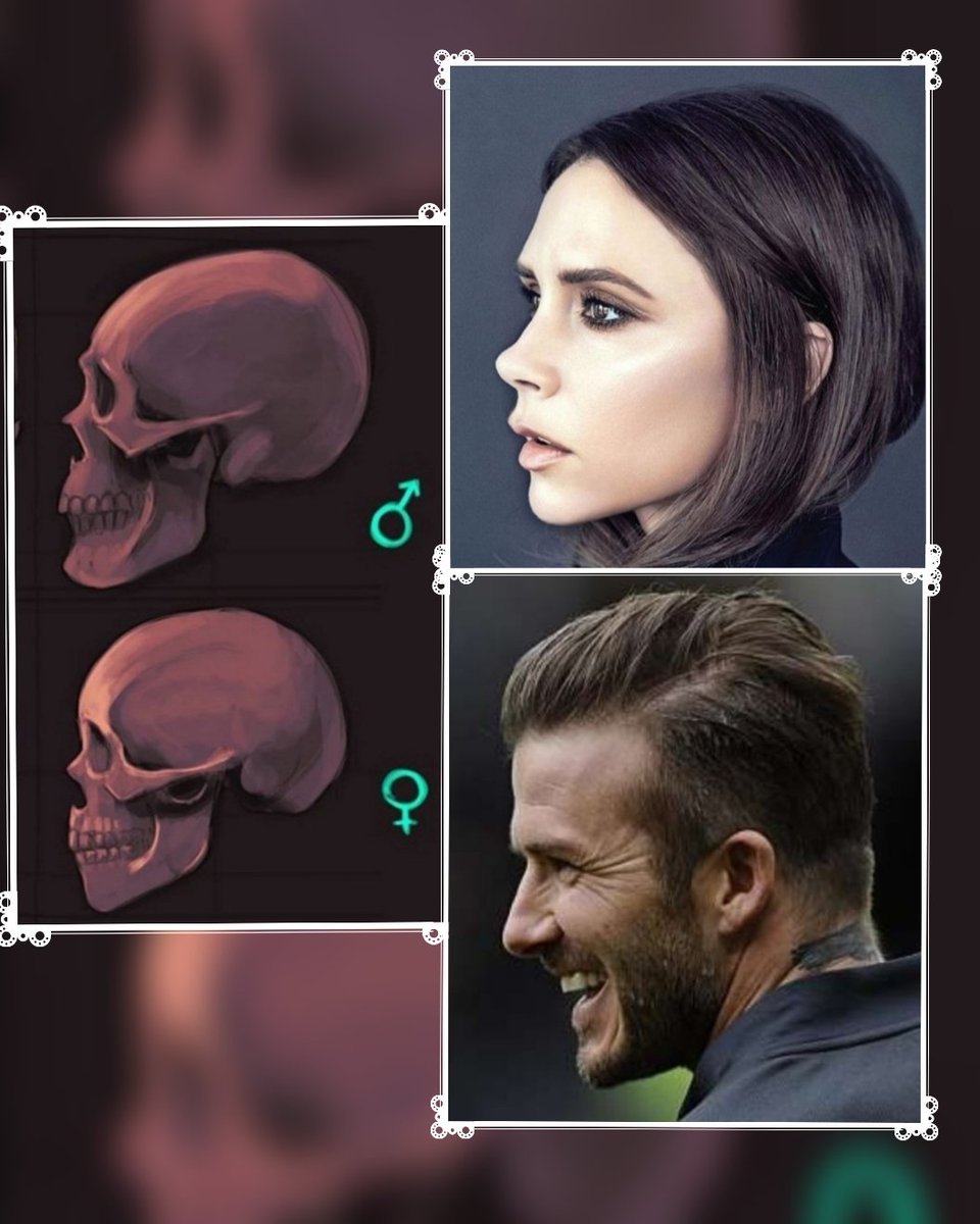 PascalVitani's tweet image. 