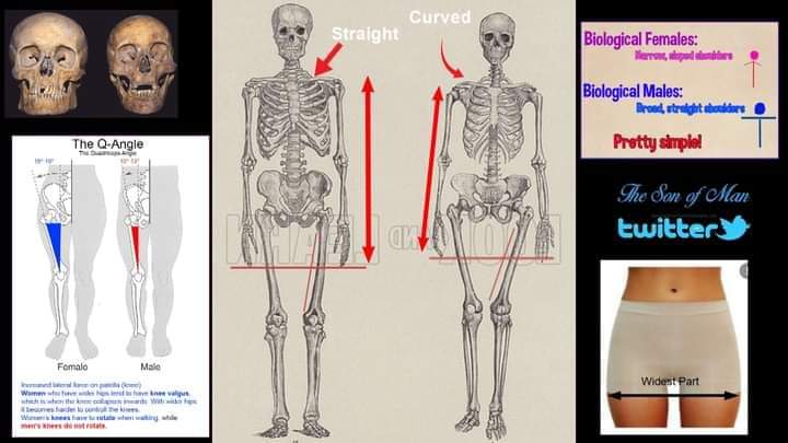 PascalVitani's tweet image. 