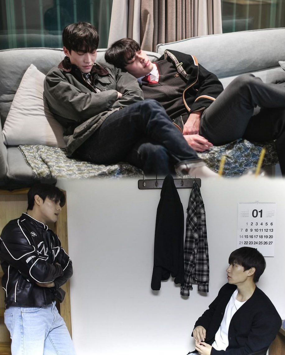 Gray Shelter - South Korea | The GAYS Of DAYTIME- The Message Board