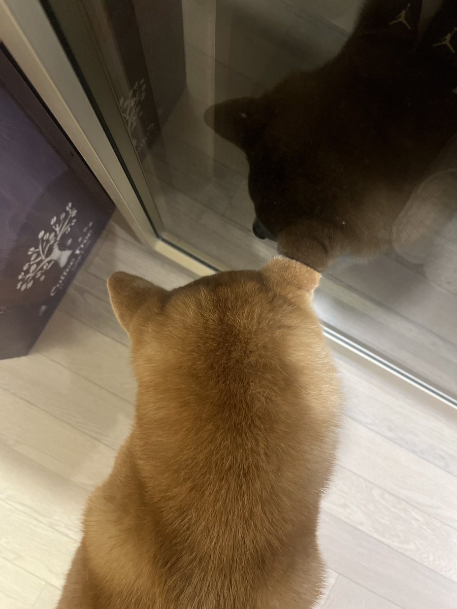 산책 가고싶음 
그래서 나감