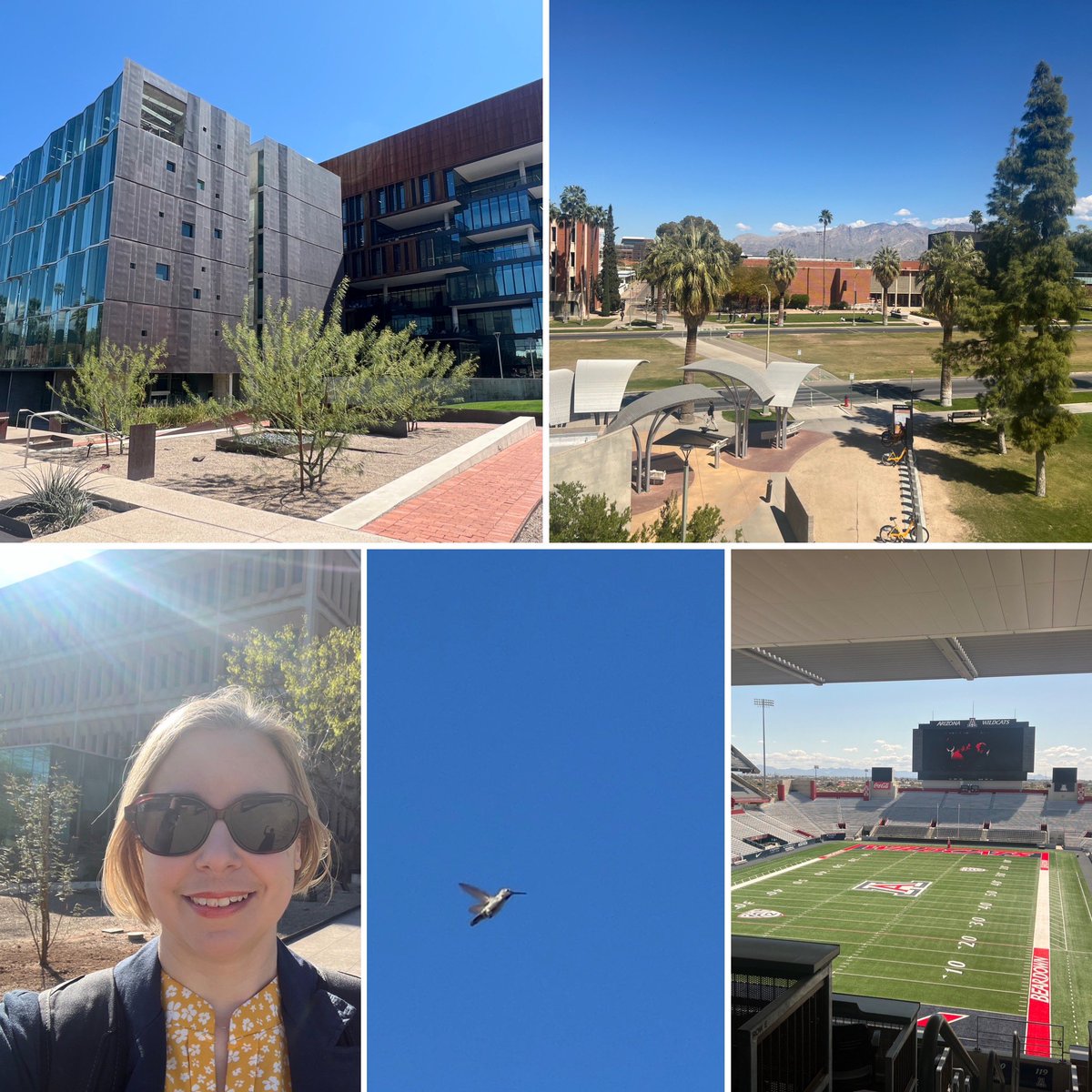 LighTopTech Corp. (@lightoptech) on Twitter photo Had a wonderful day at <a href="/uarizona/">University of Arizona</a> meeting <a href="/UAZOpticalSci/">The U of A Wyant College of Optical Sciences</a> faculty members and enjoying the spring weather! 🌵 Had a wonderful day at <a href="/uarizona/">University of Arizona</a> meeting <a href="/UAZOpticalSci/">The U of A Wyant College of Optical Sciences</a> faculty members and enjoying the spring weather! 🌵