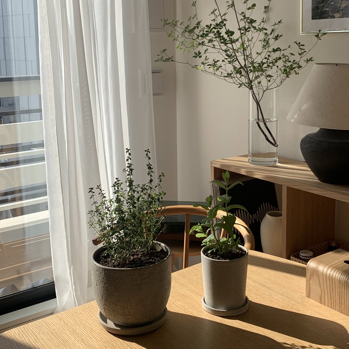 honeylisabee's tweet photo. 昨年春の
わたしのお部屋🌱🕊️ https://t.co/xjdNz2LdJh
