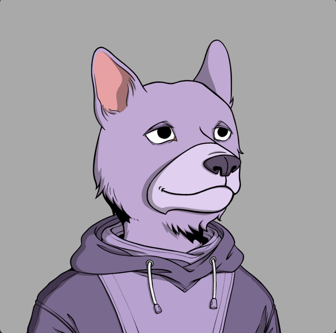 SolEnthusiast {👻,👻} tweet media