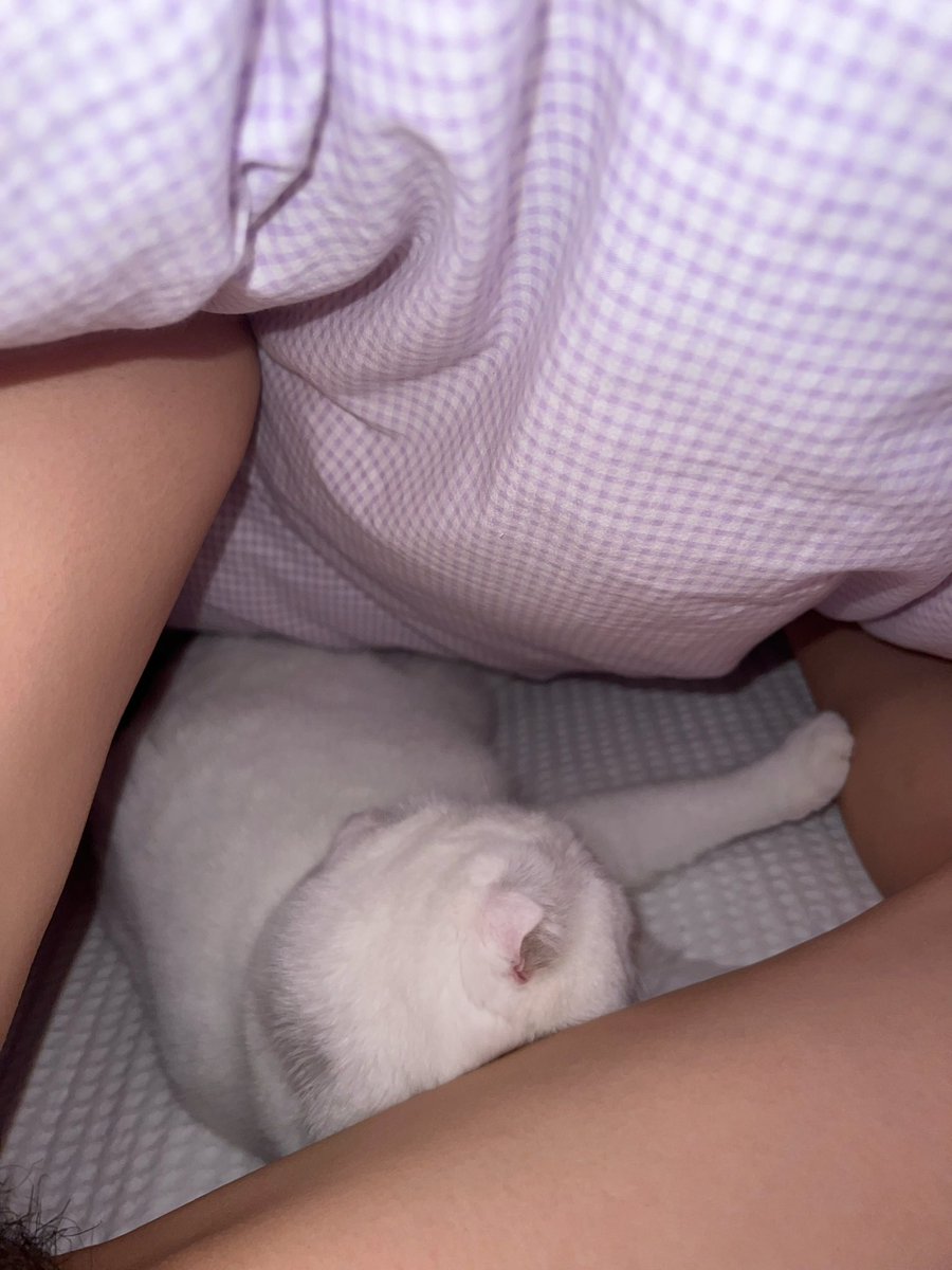 猫坏人好！！ https://t.co/TpPpsUu7qp