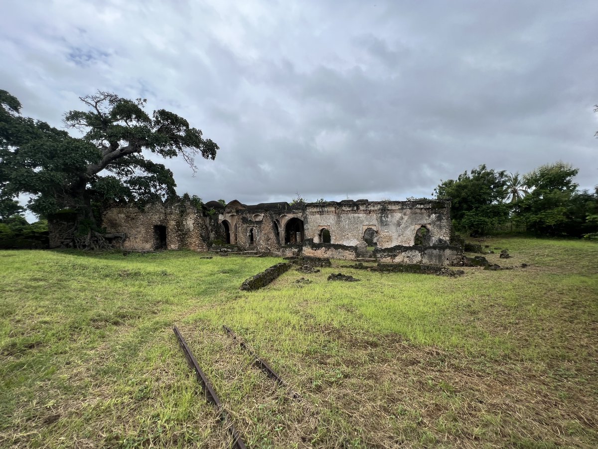 Elgidius Ichumbaki, Ph.D. tweet media