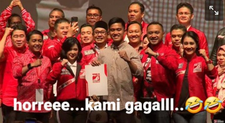 Tℹ️ger Shark tweet media