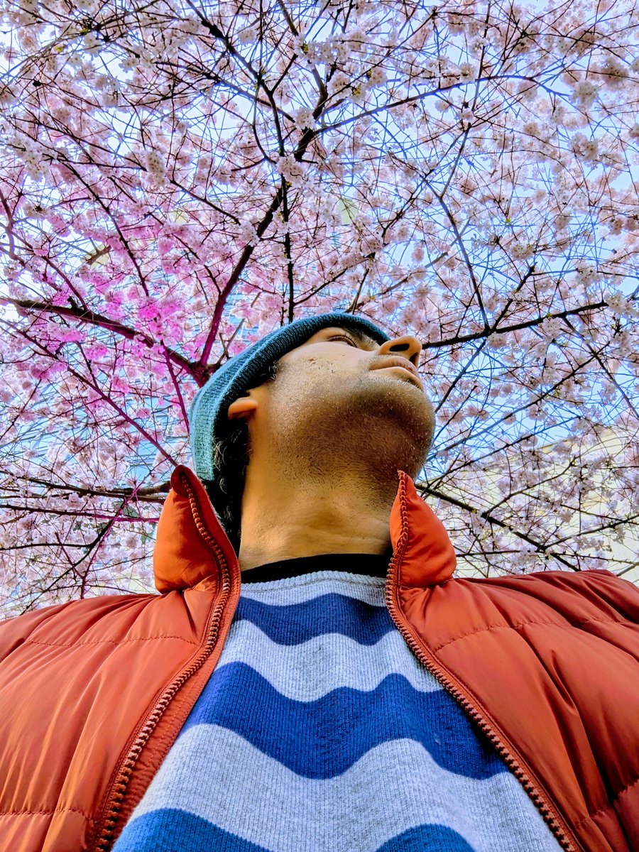 rkvisualise's tweet image. Springs 24