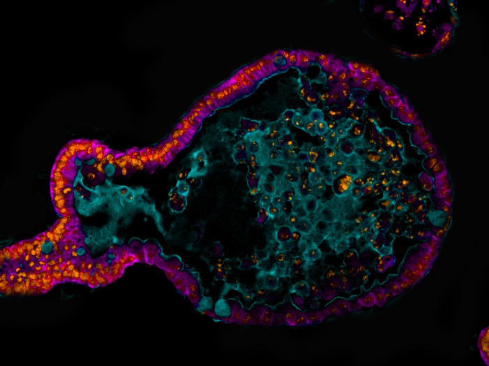 Mindy Engevik tweet media