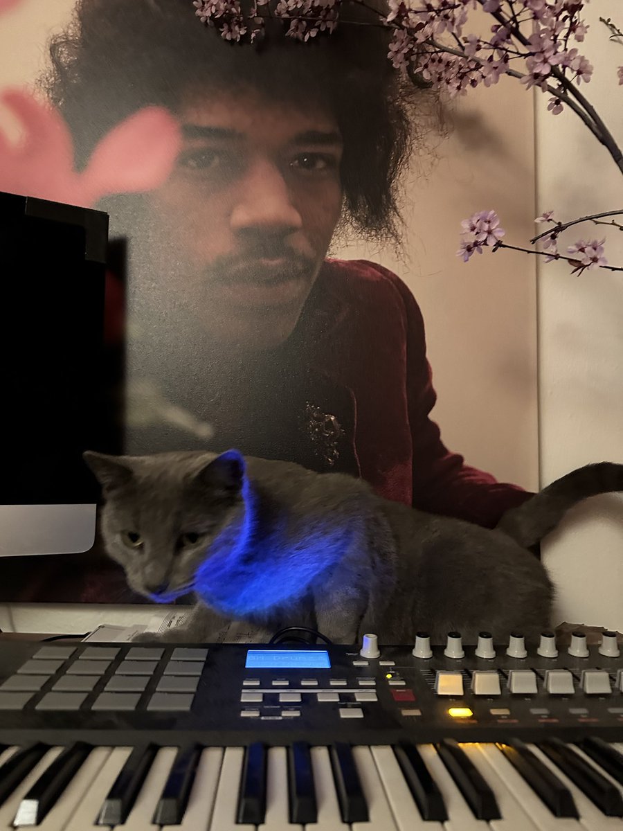 robmalchow's tweet image. 