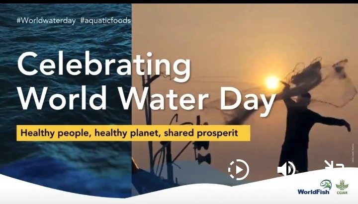 💧Celebrating World Water Day!

Clean, healthy waters mean thriving biodiversity and prosperous livelihoods for fishers and farmers.

#Fisheries must be integrated into #watermanagement for #sharedprosperity!

#WWD2024 #AquaticFoods #WaterSystems #BlueEconomy #SmallScaleFisheries