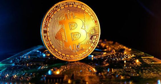 helin hoval tweet media