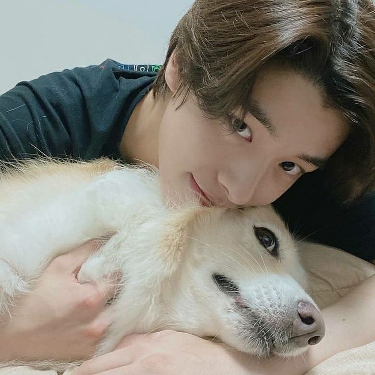 aseandrei's tweet image. pup