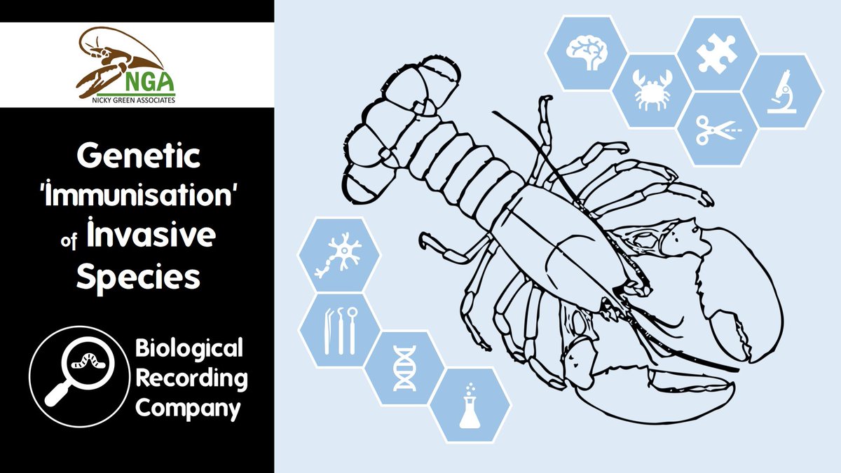 Prof Bruce Whitelaw from @EdinburghUni will present about cutting-edge research into the genetic 'immunisation' of #invasivespecies at the #SignalCrayfish Virtual Symposium. More info and tickets via Eventbrite. eventbrite.co.uk/e/773638793457