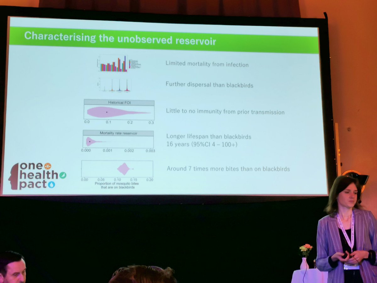 👏Great talk by <a href="/MarikendeWit/">Mariken de Wit</a> <a href="/WUR/">Wageningen U&R</a> at #SVEPM2024 Uppsala <a href="/SVEPM_Members/">SVEPM</a>, unveiling through modelling the role and characteristics of an unobserved reservoir species in the emergence of Usutu virus in 🇳🇱
In collaboration with @Gael_Bn <a href="/bioepar_dynamo/">DYNAMO research group</a>
💻🦠🦟🪶