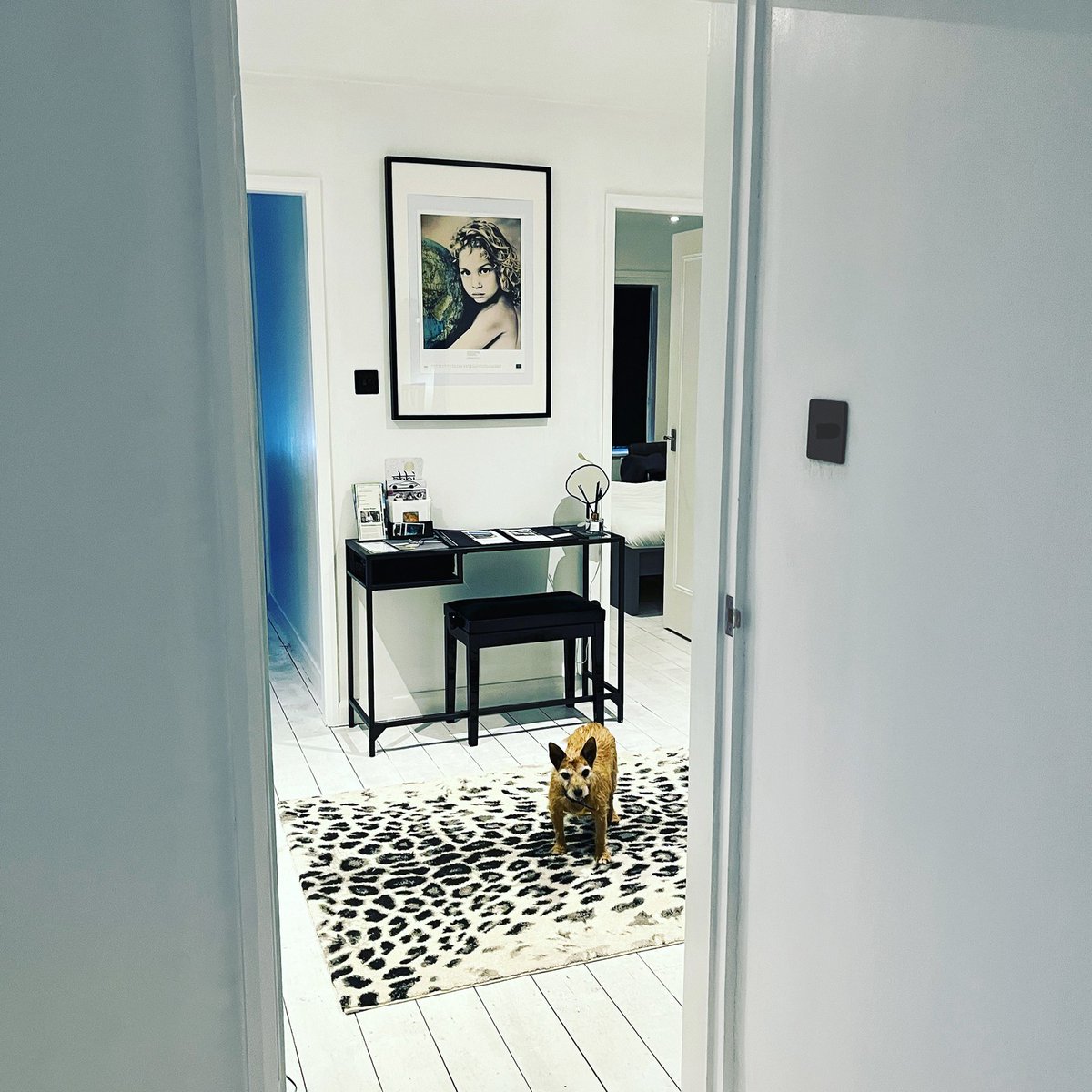 A glimpse of our entrance hall at Cragg View with a guest appearance by Ruby! 🇬🇧 And another award-winning artwork on the wall too! Book our lovely detached property on Vrbo and Airbnb in Grange-over-Sands here: linktr.ee/craggview #grangeoversands #dogfriendly #vrbo #airbnb