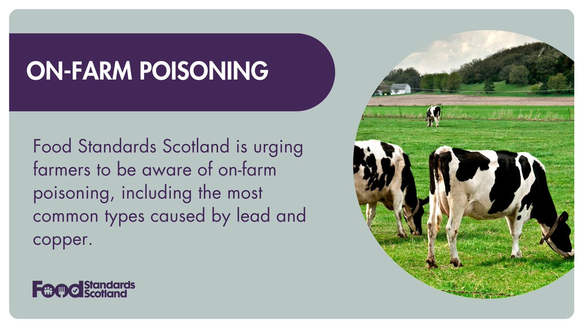 Starting Monday, find out what we are doing to raise awareness of lead and copper poisoning and urge farmers to take five important steps.

#OnFarmPoisoning #FoodStandardsScotland