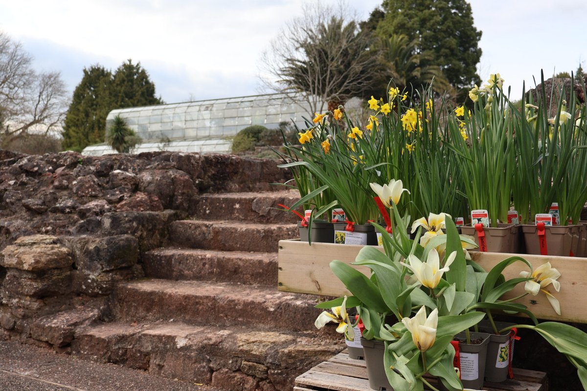 Join us for some Spring Planting 🪴 ⏰ 10:30 –11:30 🗓️ 2nd, 4th, 9th and 11th of April 📍 Torre Abbey Gardens 🎟️ Included in your admission or 1196 Club You will receive a pot to take away and with either a selection of vegetables and pollinator-friendly flowers to plant.