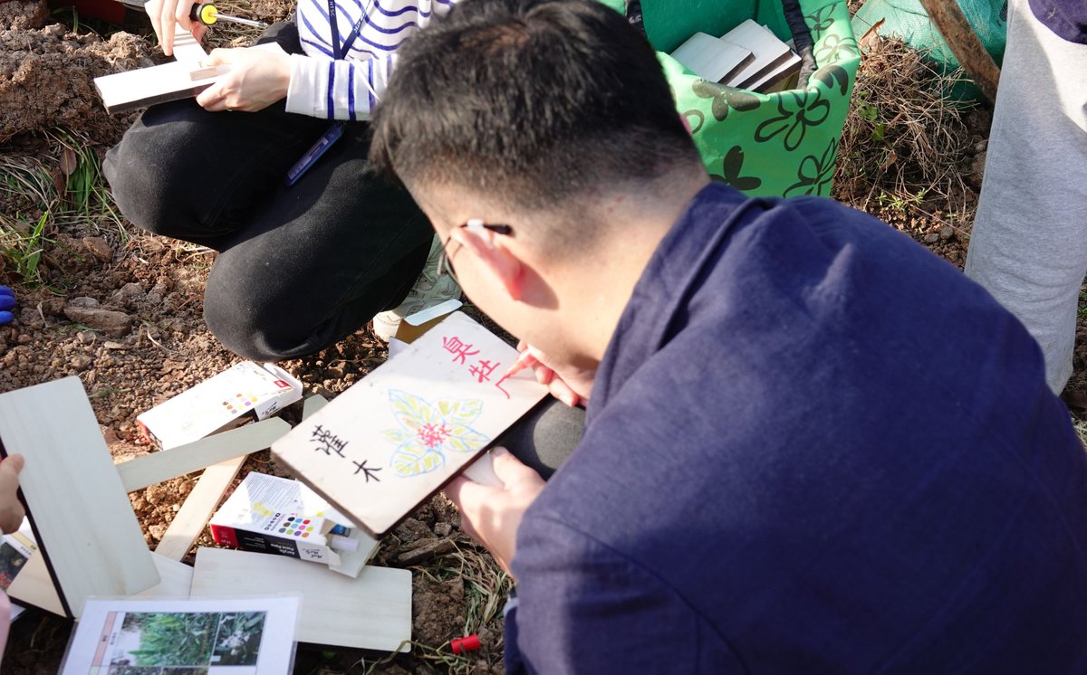 On the day of spring equinox (春分), volunteers and us organized a special native plant cultivation at the Nanjing Olympics Center. We planted several local plants, they can provide nectar and food source for birds and insects, as well as connecting people with their homeland.