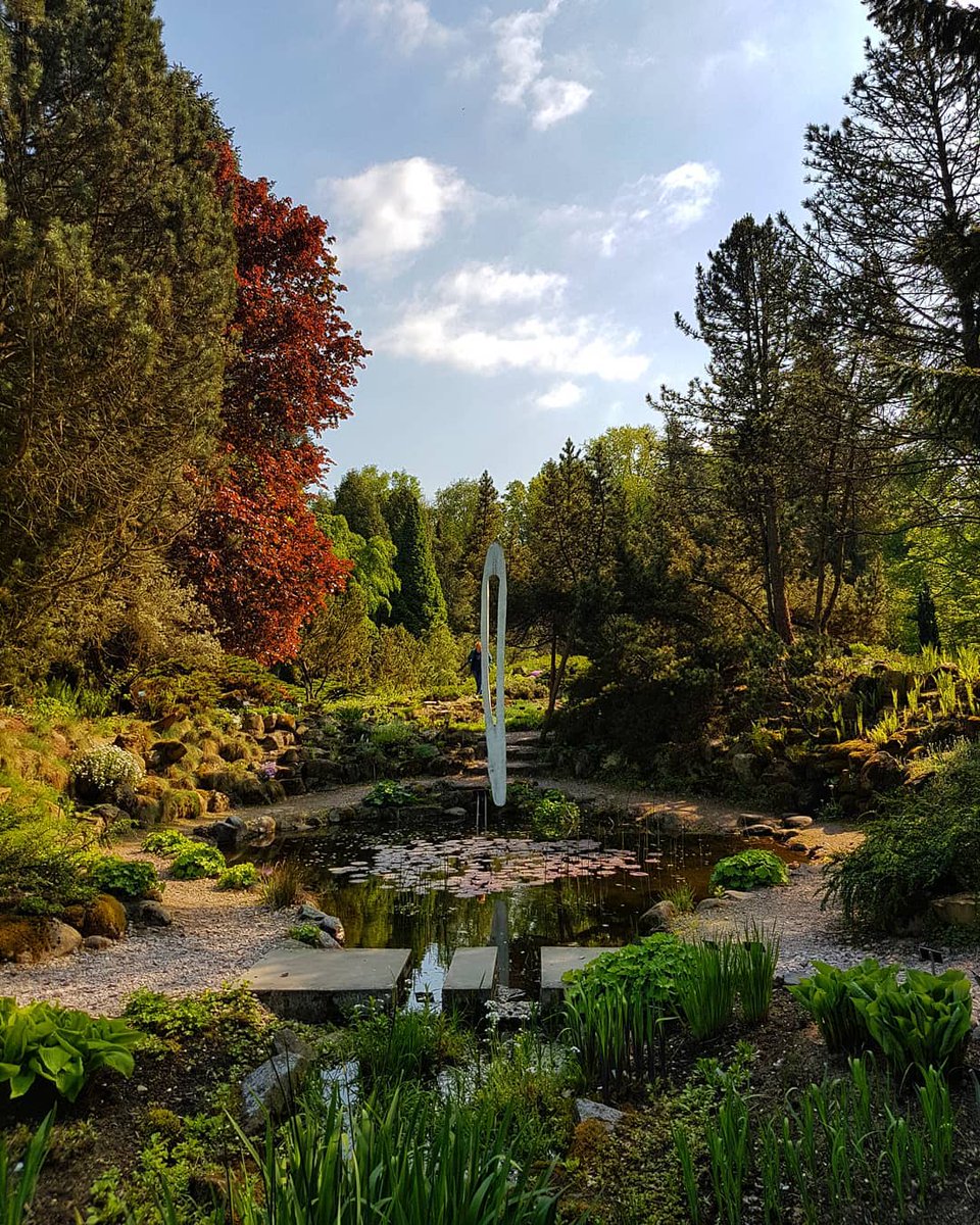 🐝 Soak up spring at one of the biggest botanical gardens in Poland 🌺 At the Rogów Arboretum see rare plants, experimental foreign species and one of the most valuable plant collections in Europe! 📷 @bartekdomagalski #visitpoland #travel #polandtravel #botanticalgardens