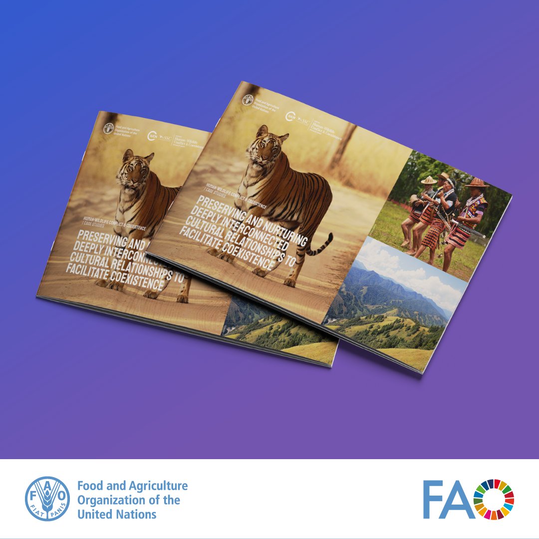 Download a new @FAO & @hwctf human-wildlife conflict case study on the protective cultural relationship between communities and #tigers in the Indian state of Arunachal Pradesh 👉 ow.ly/BY7t50QWFa4`` @FAOIndia @IUCN @ncfindia