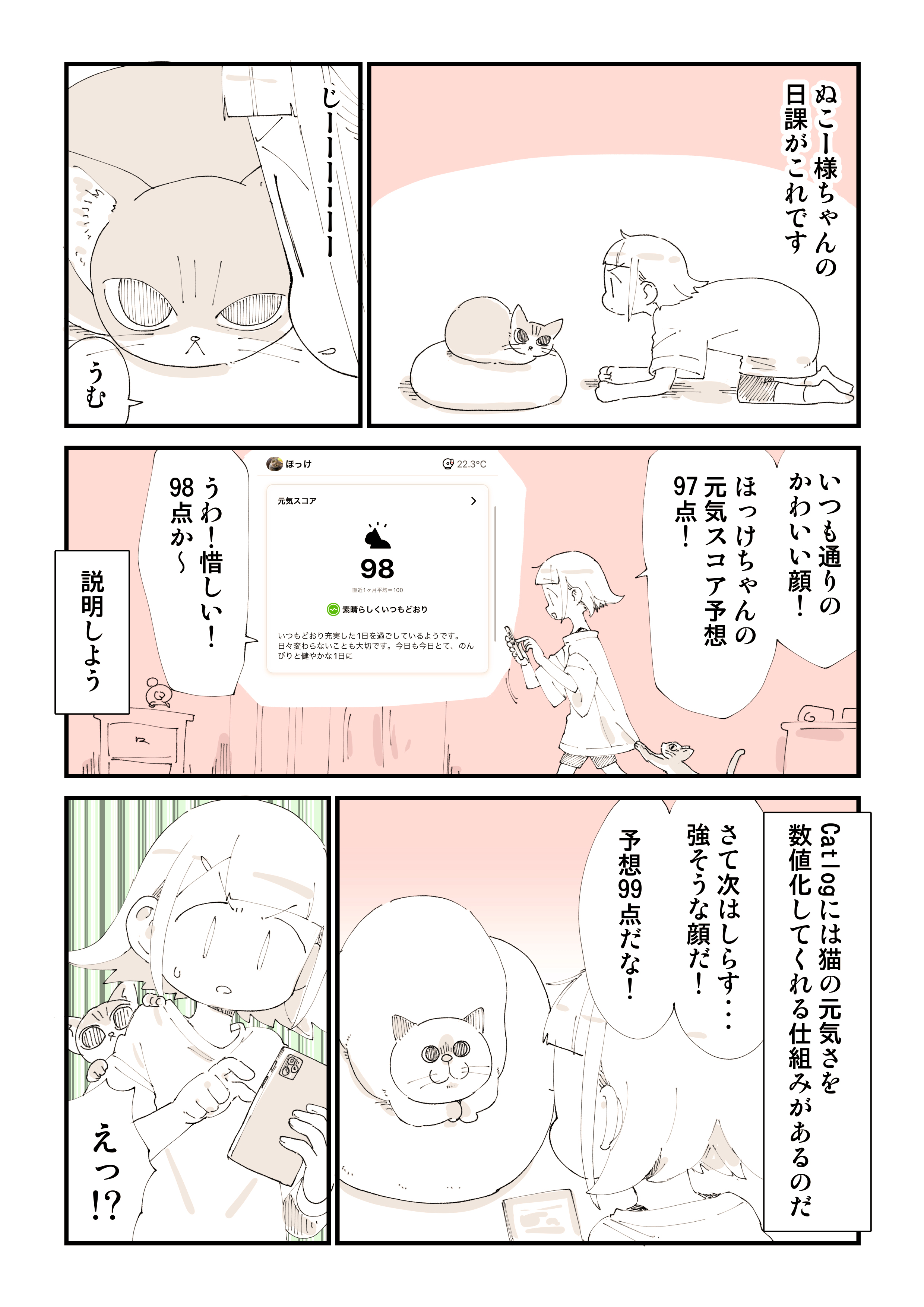 【海外 正規品】 ぬこー様ちゃん@ロードバイク狂 on X:  キッチン収納・ラック