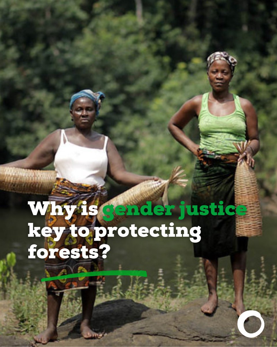 Community Forest Management is a gender justice question: women are often responsible for protecting forests & biodiversity and hold collective and important traditional knowledge. Defending gender justice to better care for forests is crucial: foei.org/publication/co… #ForestDay