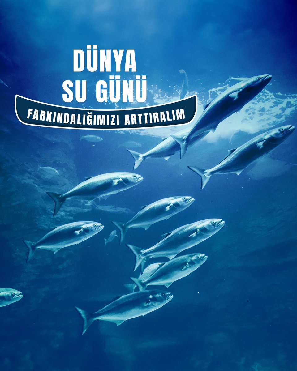 Suyun kıymetini bilmek ve israf etmemek büyük önem taşıyor. Bir damla su, bir umut demektir. Su kaynaklarını korumak için bugün bir adım atın! 💙🌍

#mavibahçe #dünyasugünü