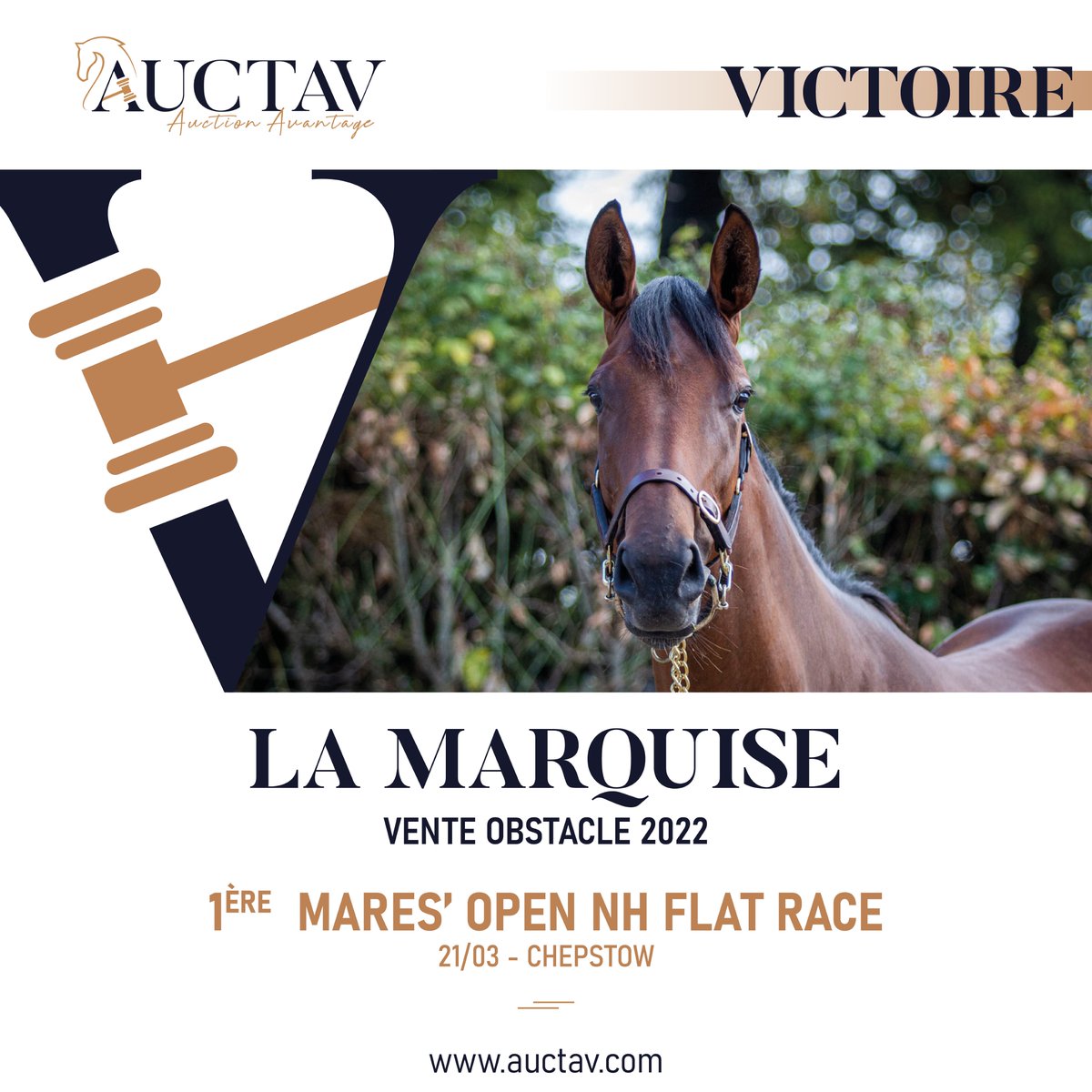 🥇Promising LA MARQUISE won her 2nd bumper out of 3 starts in good style for @jamiesnowden & Buckett, Lovell, Snowden & Stacey.
Half-sister to G3W winner MISTER POLICEMAN, she was bred by @EcurieLBaudron & secured by @JonesToby86 at the 2022 NH Sale on behalf of Lucy Snowden