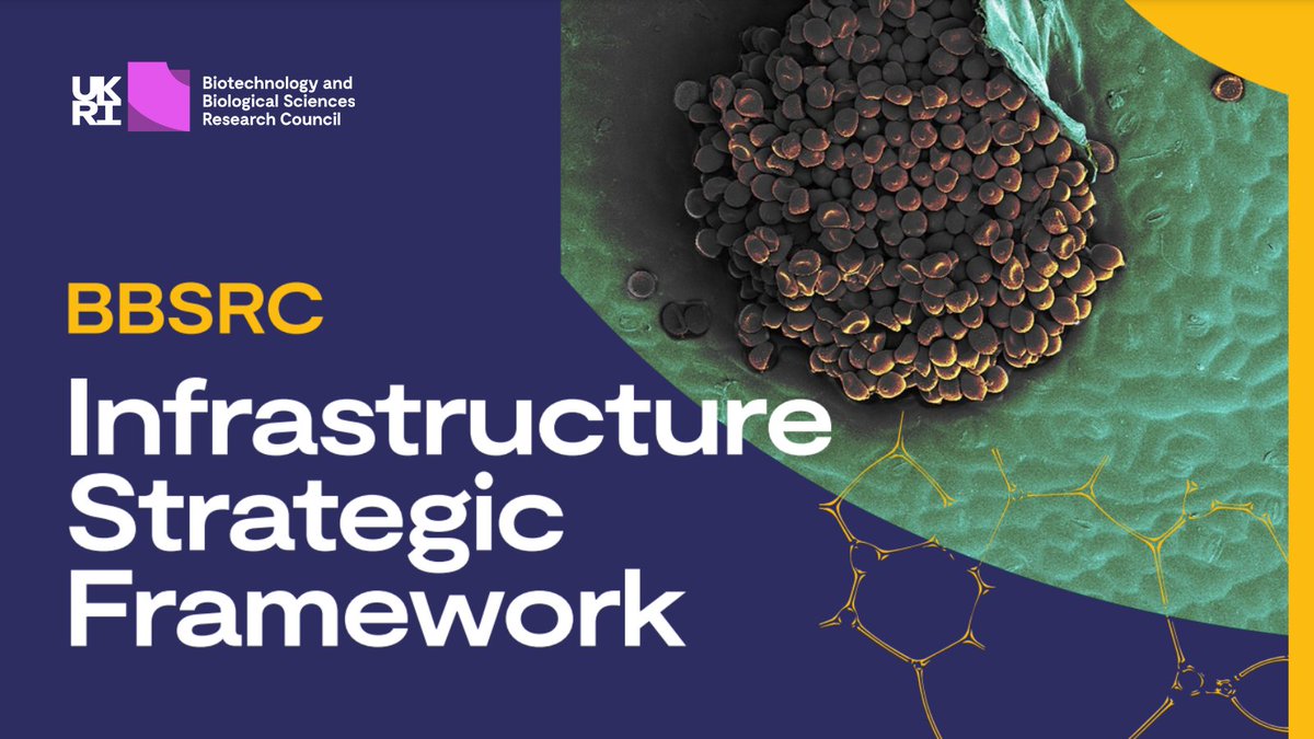 📄✨ Our new Infrastructure Strategic Framework is a must-read for anyone in the UK bioscience community. With this framework, we'll make sure you can access the adaptive, resilient, sustainable infrastructure needed to deliver world-class research: orlo.uk/ATelo
